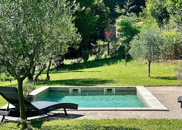 Avec Piscine. Appartamento Valleraugue